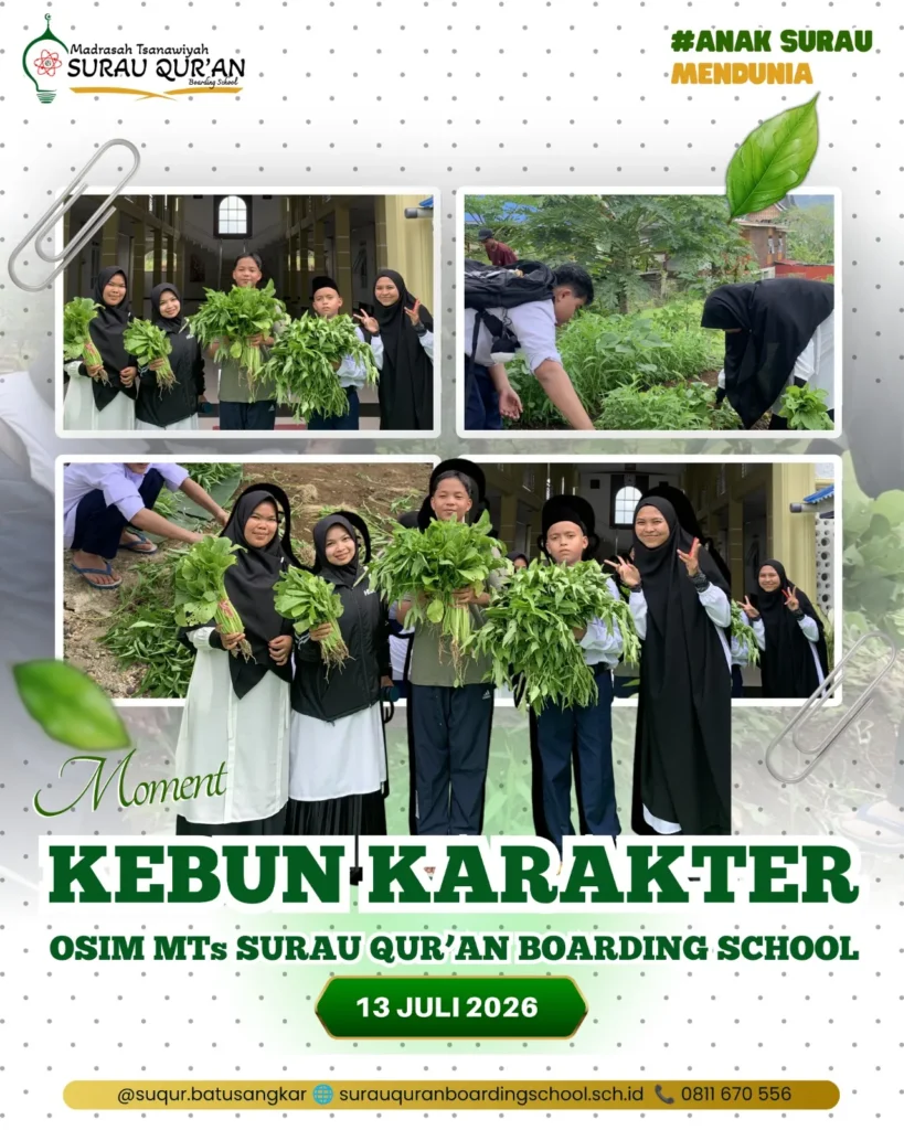 Para santri dan pengurus OSIM MTs Surau Qur'an memanen sayuran dalam kegiatan Kebun Karakter